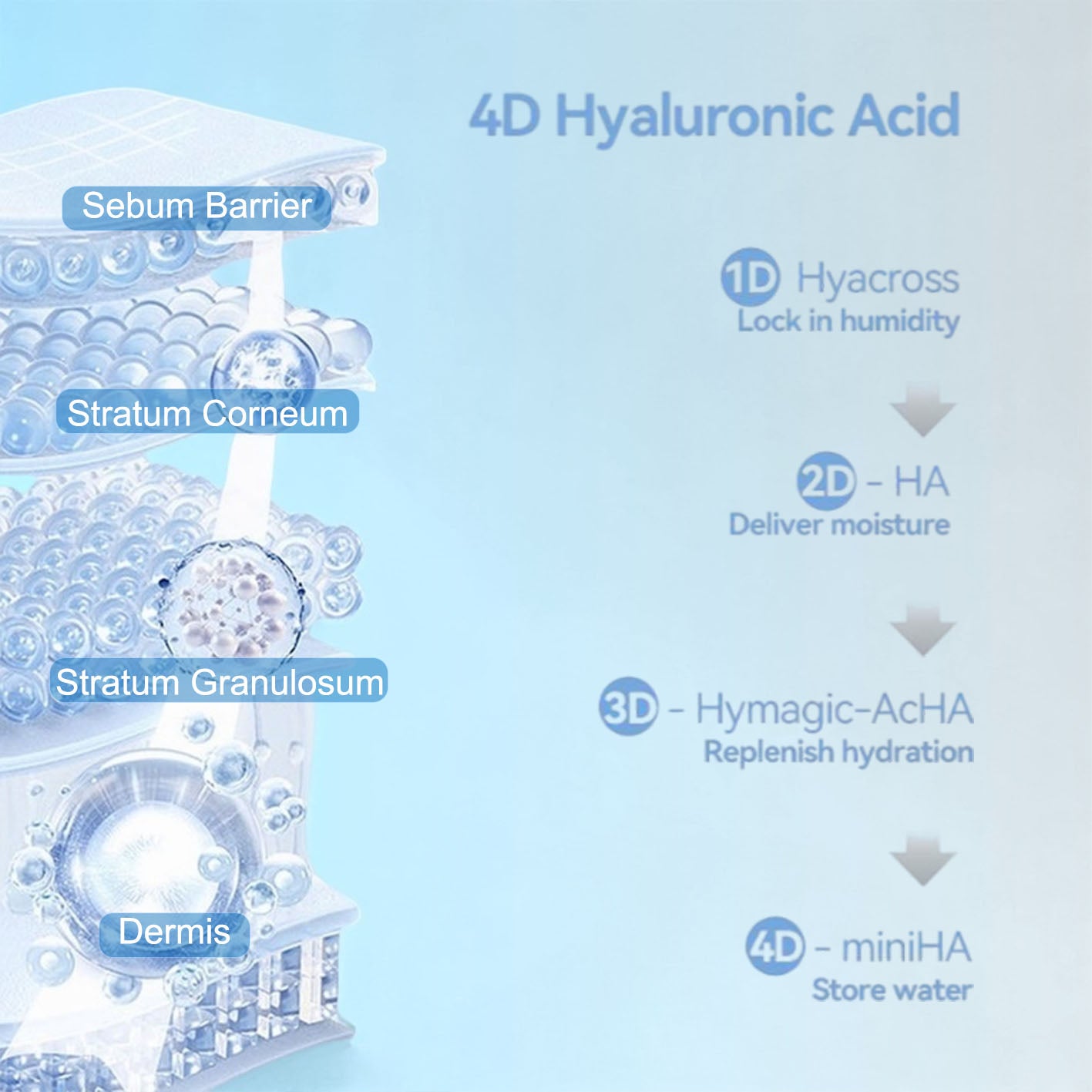 Ultra-Hydrating Serum 5% Hyaluronic Acid Smoother Skin|Pre-makeup SkinCare|Anti-Aging serum for face Single-Use Vials Skincare | Hyaluronic Acid Tubes for Sensitive skin|4D Hyaluronic Acid(1.2 ml)*30