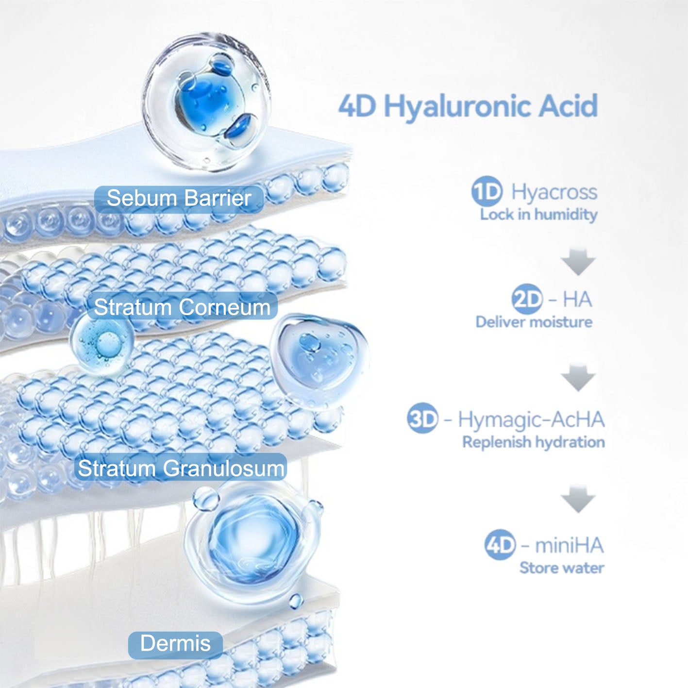 Ultra-Hydrating Serum 5% Hyaluronic Acid Smoother Skin|Pre-makeup SkinCare|Anti-Aging serum for face Single-Use Vials Skincare | Hyaluronic Acid Tubes for Sensitive skin|4D Hyaluronic Acid(1.2 ml)*30